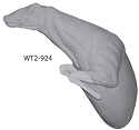 WT2-924